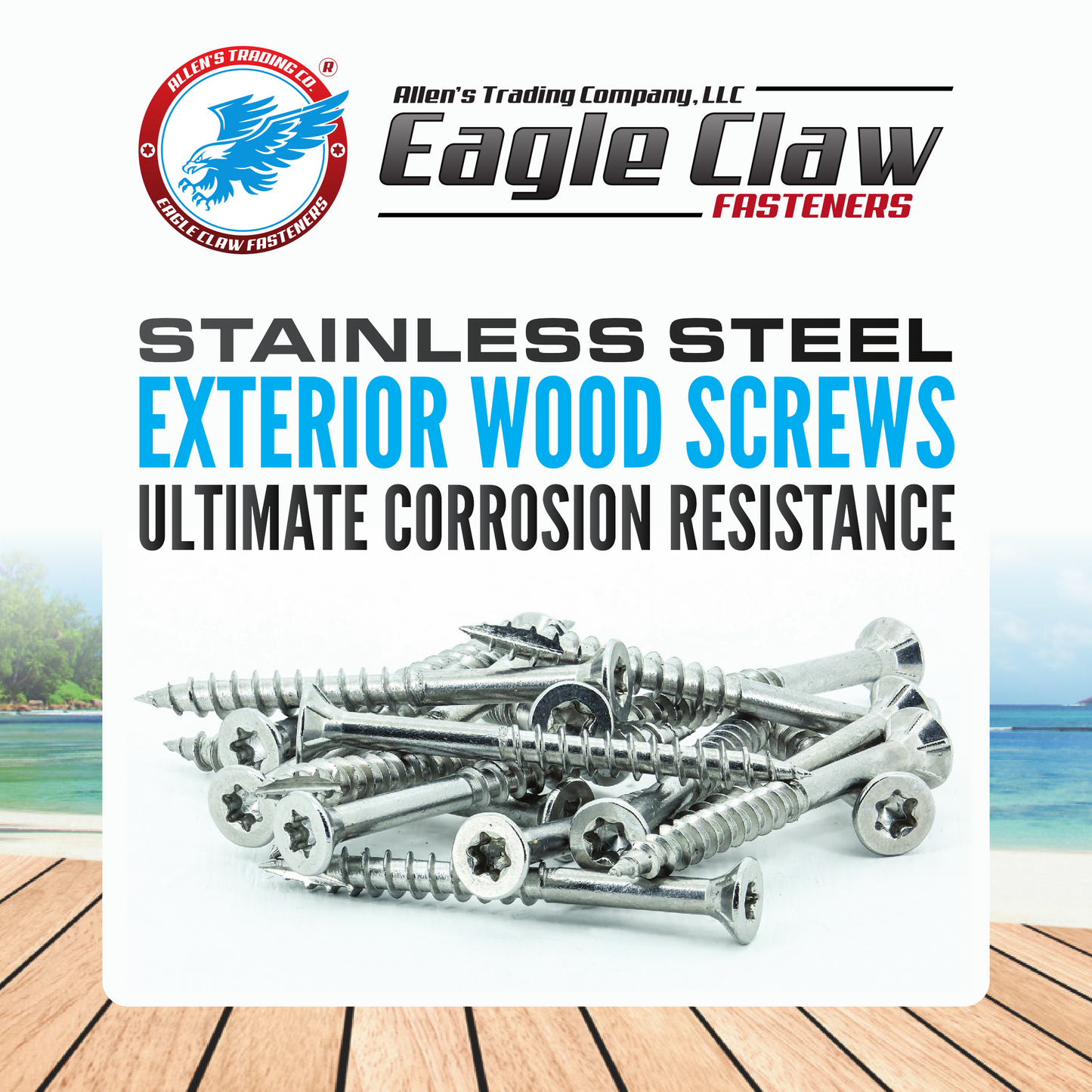 Stainless Steel Wood Screws Value Pack