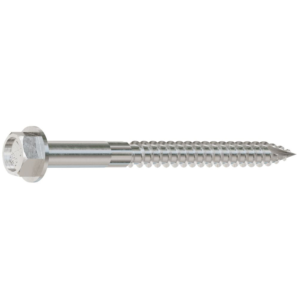 Stainless steel connector screw on a white background