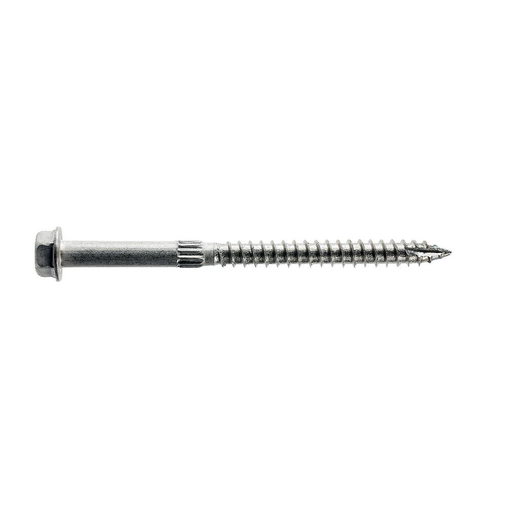 Stainless steel SDS screw on a white background