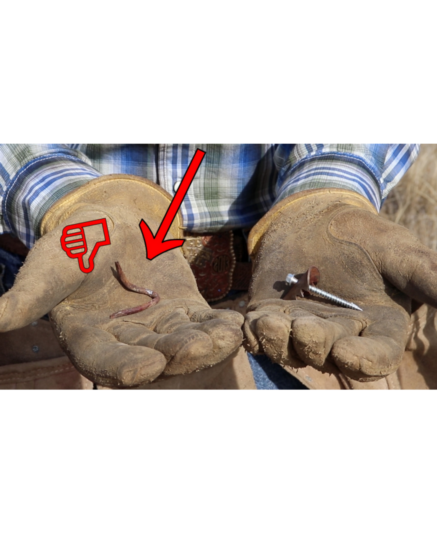 Cat's Claw Fasteners  - compare