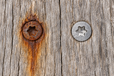 best corrosion resistant deck screws