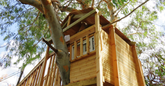 best treehouse fasteners
