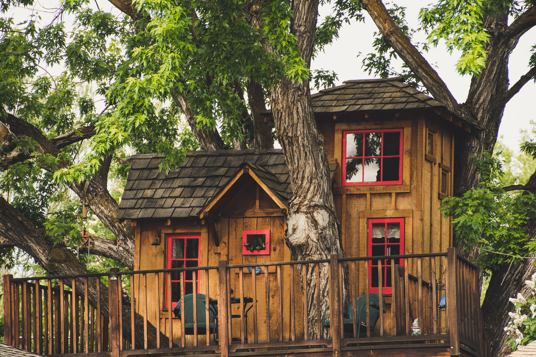 best screws to build a tree house