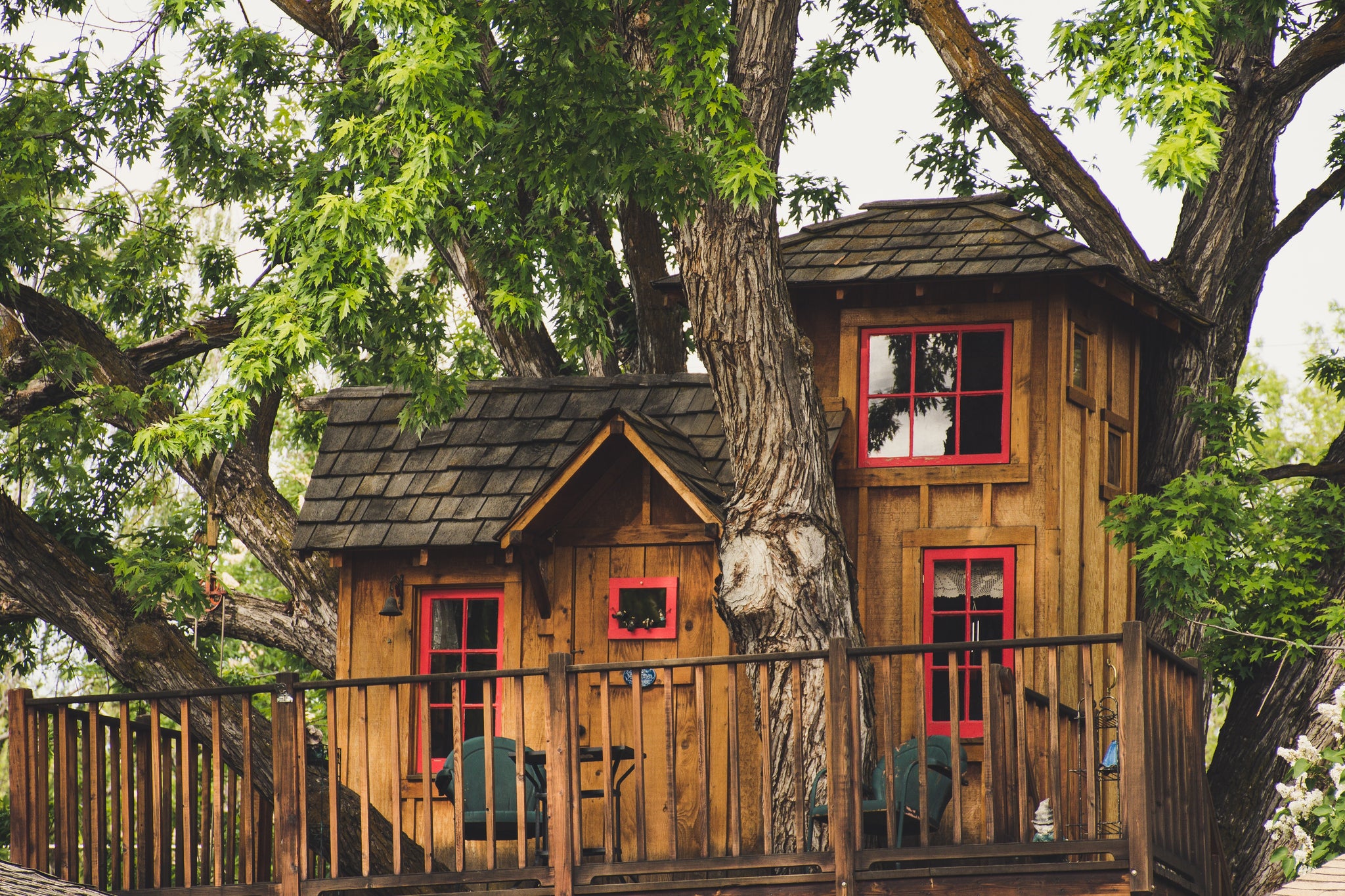 Building a Treehouse: Finding the Perfect Screws to Create Your Dreams