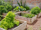 best screws for raised garden beds