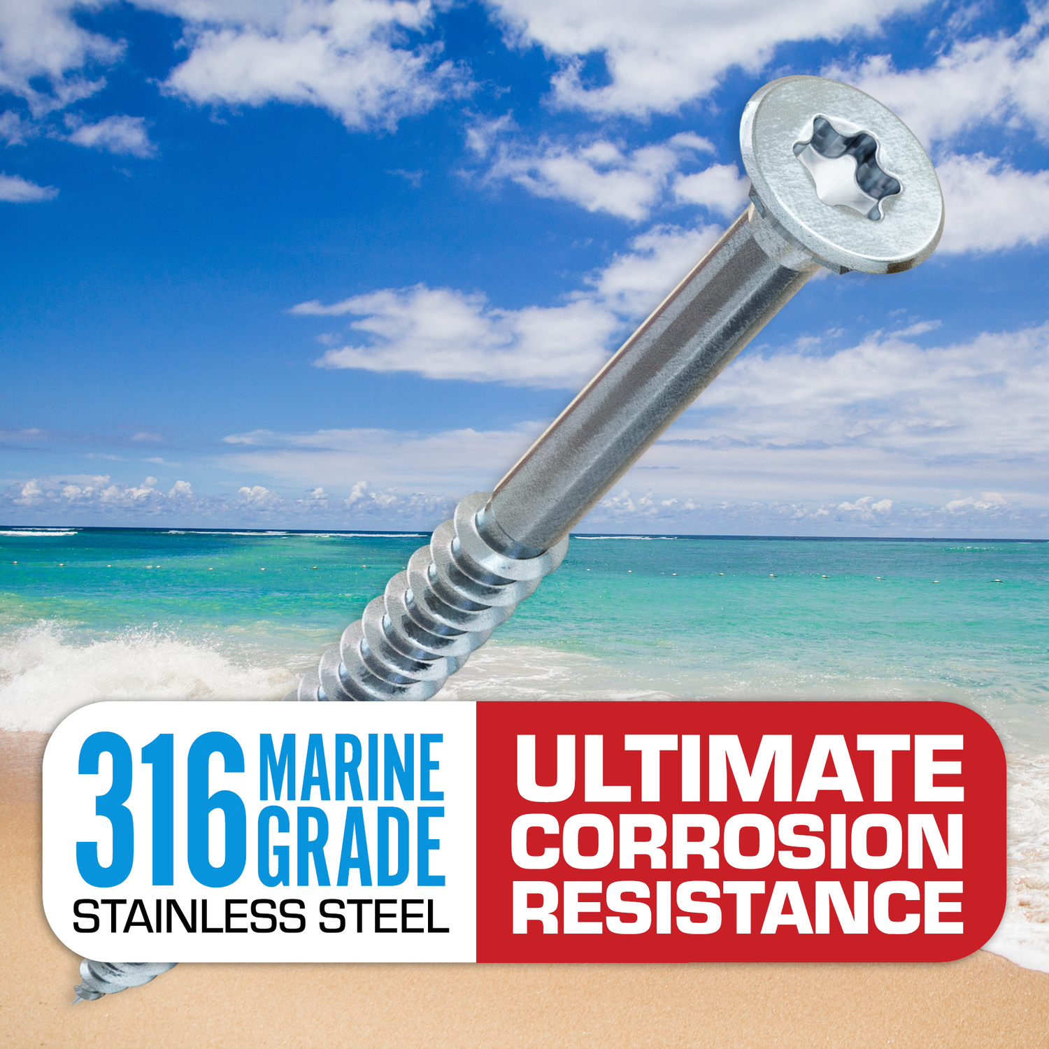 316 marine grade screws in a clear container.