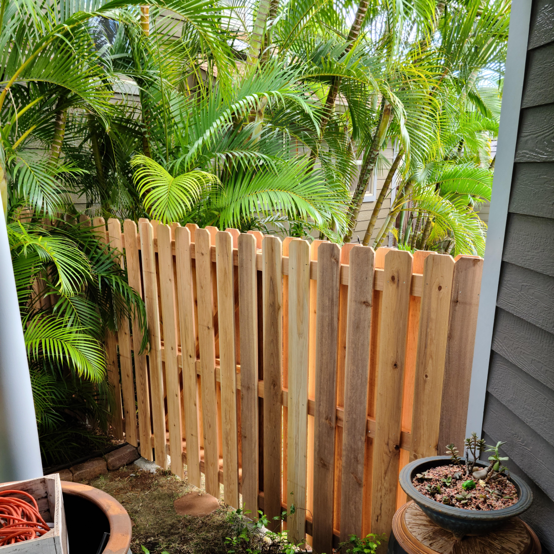 Newly installed cedar wood fence