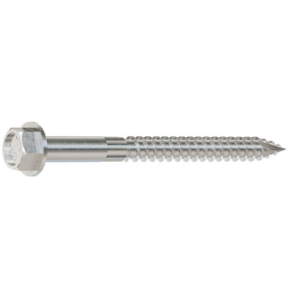 Stainless steel connector screw on a white background