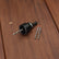 Statborn smart bit countersinks perfectly every time